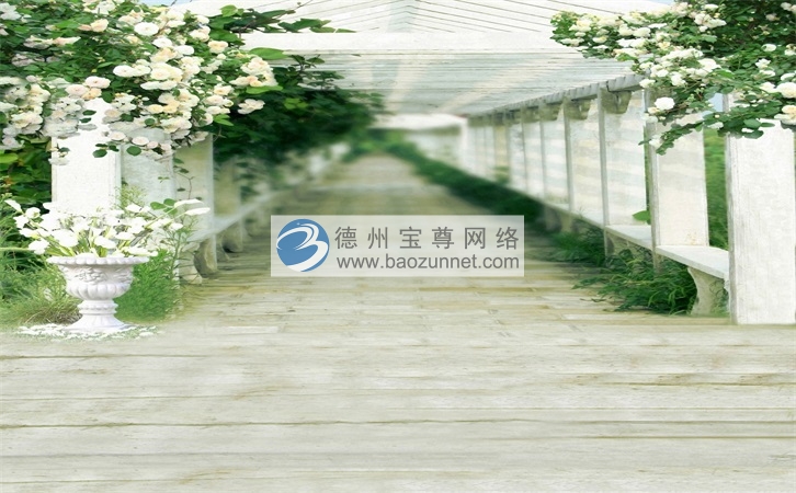 青岛精准营销 好的网站营销 企微scrm 