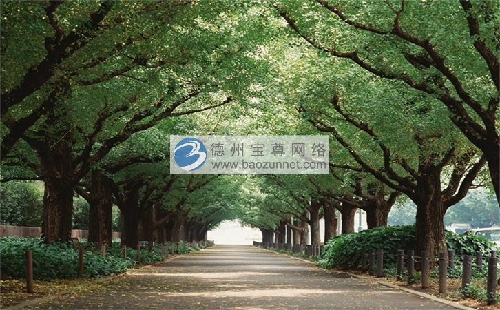 营销调研 好的营销 微商微商 微商如何快速裂变团队 全渠道怎么营销 