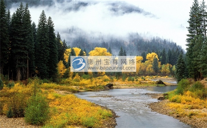 【公司微信网站】:社群早期如何获得初始种子用户及运营种子用户？