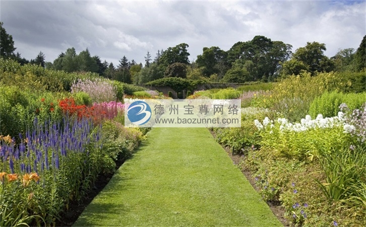 团队如何快速裂变 什么叫营销裂变 裂变的营销模式 