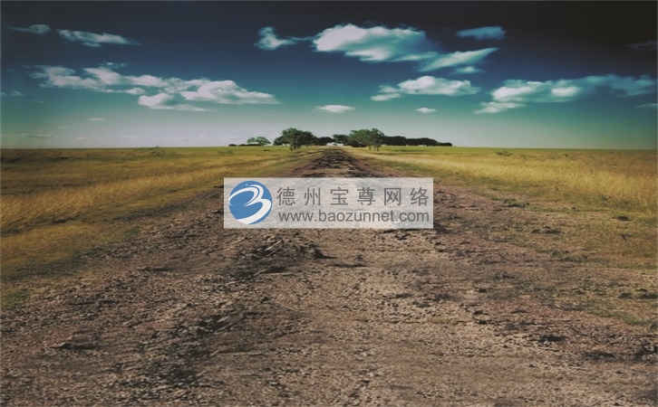 德州SEO优化方法（提升网站流量的关键技巧）