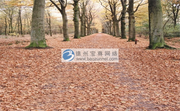互联网产品营销方案 营销型网站公司 微商有什么品牌的 