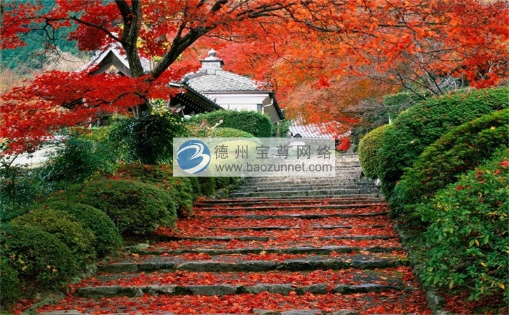 微信裂变模式 怎么要营销 网络营销难吗 