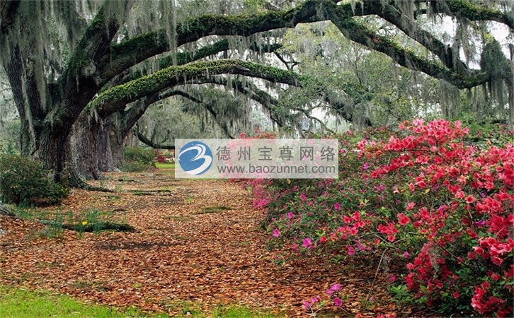 【微信服务平台】:企业该如何运营私域流量